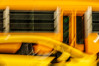 Race Color Awards Winners and Nominees