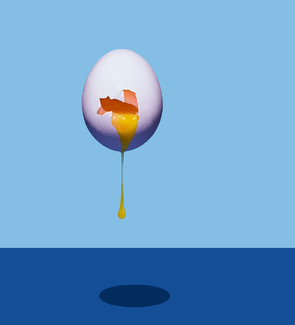 Egg Color Awards Winners and Nominees