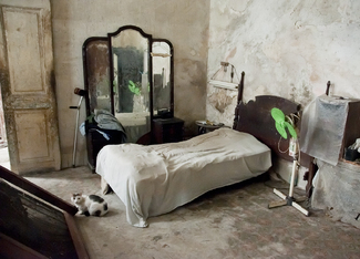 Bedroom with Cat Color Awards Winners and Nominees