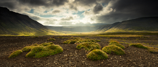Golden Iceland Color Awards Winners and Nominees
