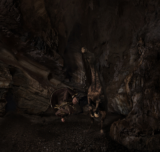 Ego and Nature Color Awards Winners and Nominees