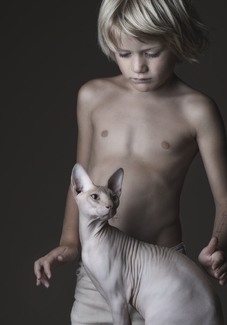Portrait of a Young Boy and his Cat Color Awards Winners and Nominees