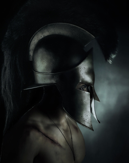 Shadow of a warrior Color Awards Winners and Nominees