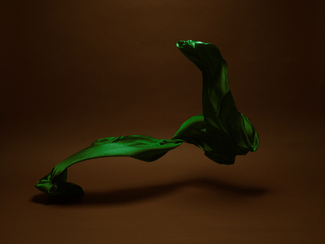 Material Color Awards Winners and Nominees