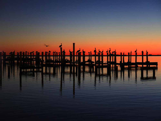Pelican's Rest Color Awards Winners and Nominees