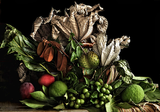 Glorioso Color Awards Winners and Nominees