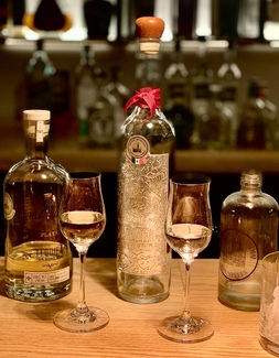 Tequila Color Awards Winners and Nominees