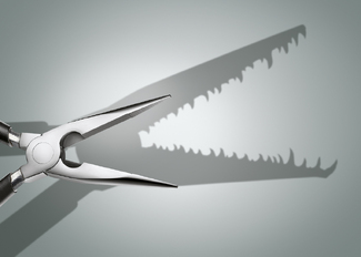 Crocodile Color Awards Winners and Nominees