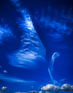 Butterfly Cloud #1 Color Awards Winners and Nominees