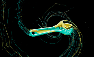 Toys 2 Color Awards Winners and Nominees