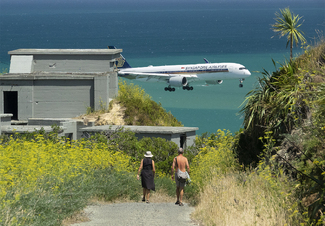 Summer's Day Color Awards Winners and Nominees