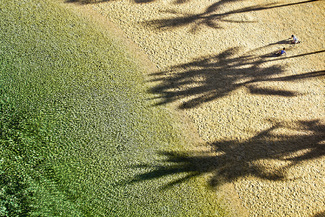 Pattern and Play Color Awards Winners and Nominees