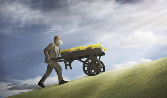 Pushing up the Daisies Color Awards Winners and Nominees