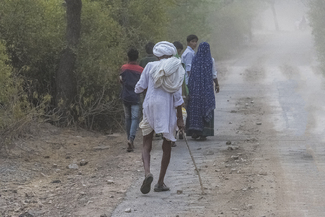 The Walk to Temple Color Awards Winners and Nominees