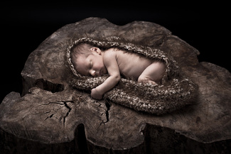 natural newborn Color Awards Winners and Nominees