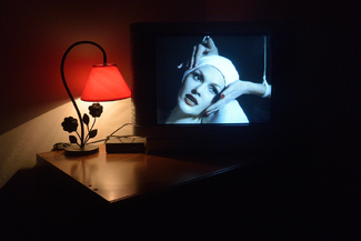 ibrido Color Awards Winners and Nominees