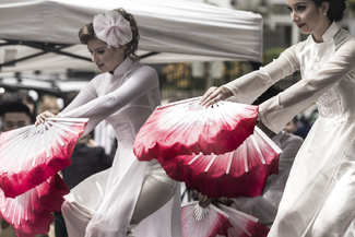 Grace Color Awards Winners and Nominees