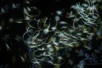 Rings Color Awards Winners and Nominees