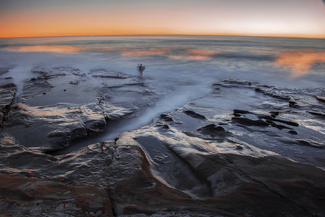 delightful Color Awards Winners and Nominees