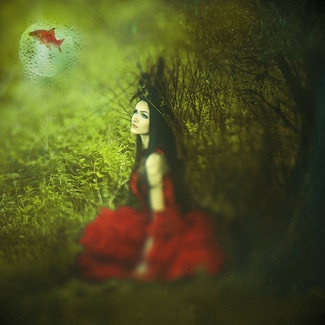 My Prison Color Awards Winners and Nominees