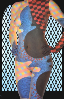 Harlequin Mosaic V. Color Awards Winners and Nominees