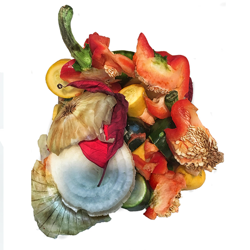 Compost Art Compost Art