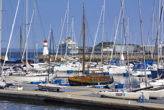 The Ugly Duckling Color Awards Winners and Nominees