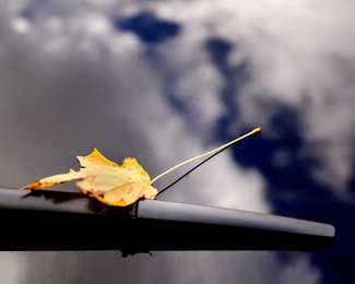 Autumn Weekend Color Awards Winners and Nominees