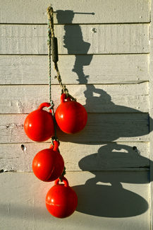 Buoy Still Life Color Awards Winners and Nominees