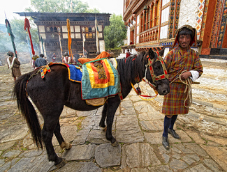 Bhutan Villager Color Awards Winners and Nominees