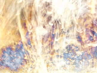 Electrochemistry Color Awards Winners and Nominees