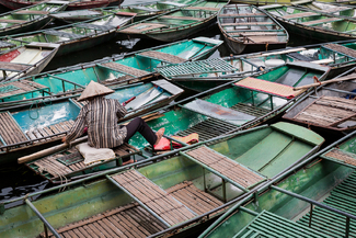 Striped Shirt Color Awards Winners and Nominees