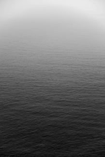 SEA MIST Color Awards Winners and Nominees