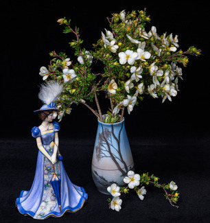 Pretty in Blue Color Awards Winners and Nominees