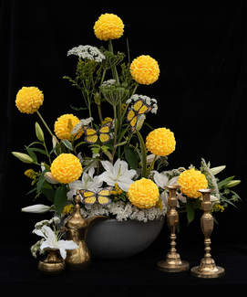 Mellow Yellow Color Awards Winners and Nominees