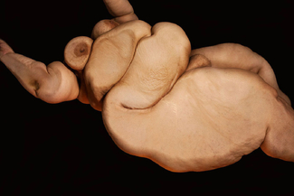 Heavenly Bodies  Color Awards Winners and Nominees