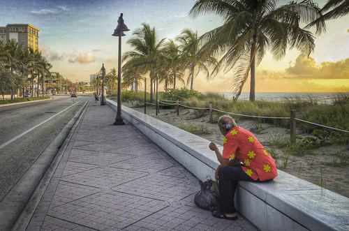 Homeless in Paradise Homeless in Paradise