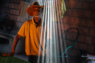 Servino Color Awards Winners and Nominees