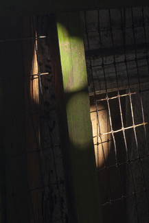 Barn Light Color Awards Winners and Nominees