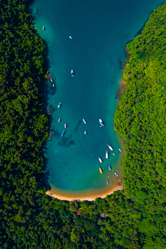 Baia da Tartaruga Baia da Tartaruga