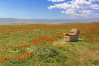 Best Seat in the House Color Awards Winners and Nominees