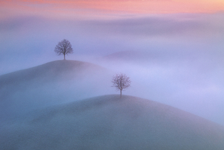 the fog of illusion Color Awards Winners and Nominees