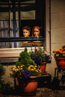 A Perfect Day in the Neighborhood Color Awards Winners and Nominees
