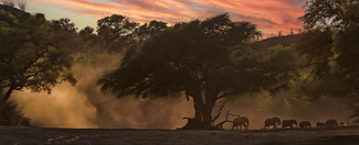 Land of the giants Color Awards Winners and Nominees