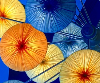A Spin on Color Color Awards Winners and Nominees