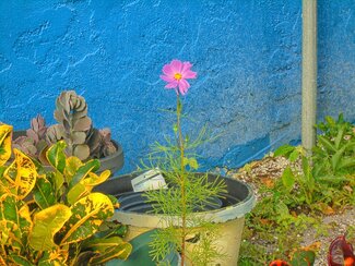 Beauty Everywhere  Color Awards Winners and Nominees