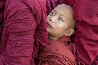 Alms line Color Awards Winners and Nominees