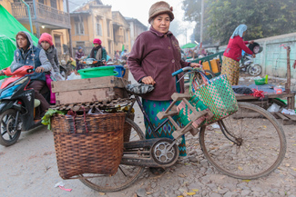 The Market Color Awards Winners and Nominees