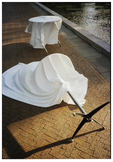 Table Down Color Awards Winners and Nominees