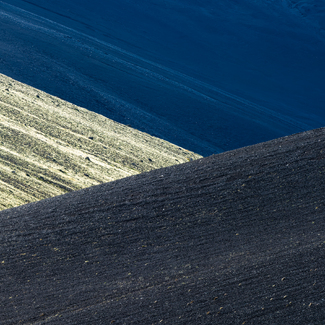 Intersection Section Color Awards Winners and Nominees